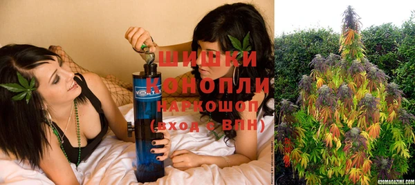 МДПВ Новозыбков