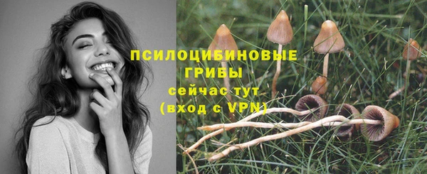 мефедрон Новодвинск