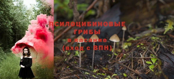 МДПВ Новозыбков