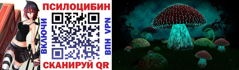 Галлюциногенные грибы мицелий  Купить где  Сибай 